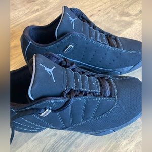 Nike Air Jordan 12.5 Team Lows
